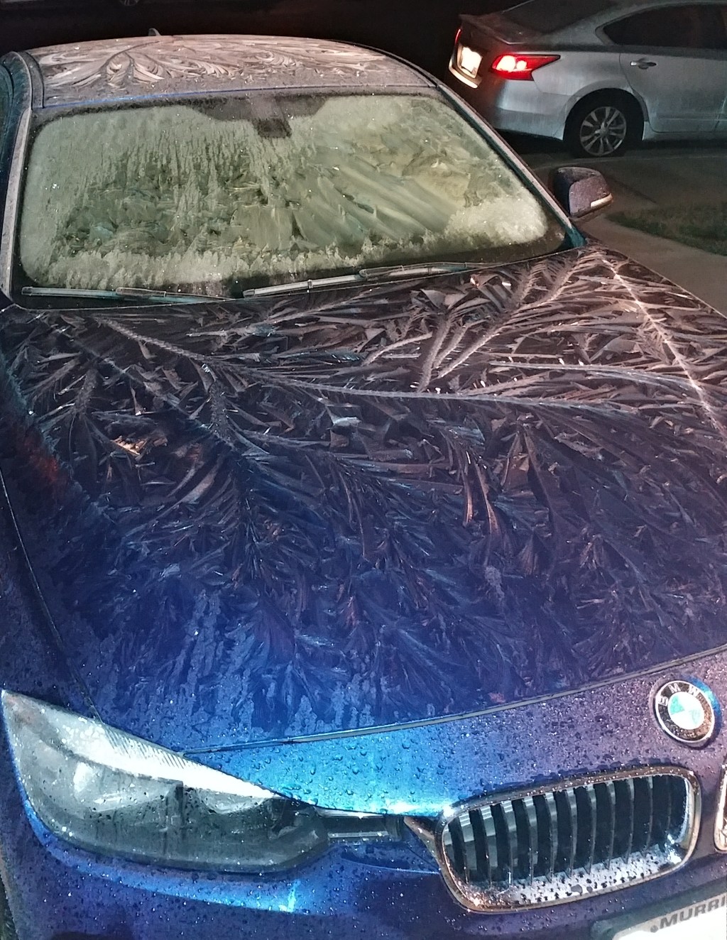 Winter Arrives #Wordless-Wednesday #photo