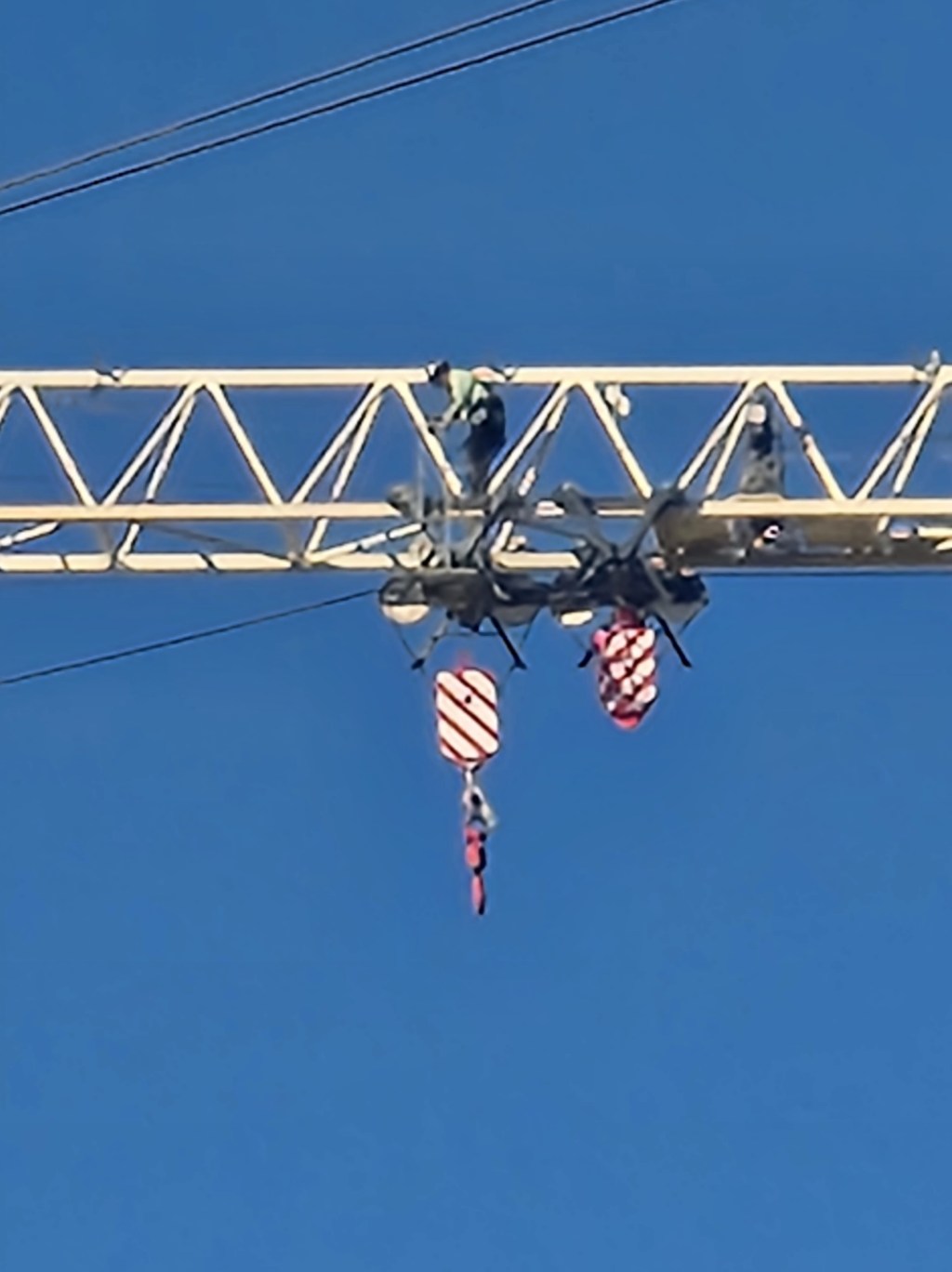 High wire act #Wordless-Wednesday #photo