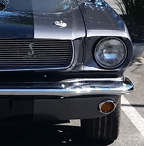 Shelby GT350 Monday Machine&nbsp;#Photo