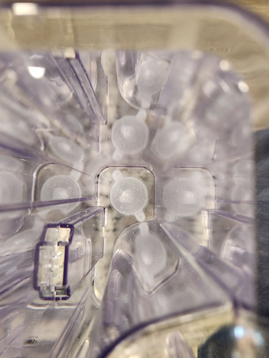 Photo by Will of ABIG.Blog